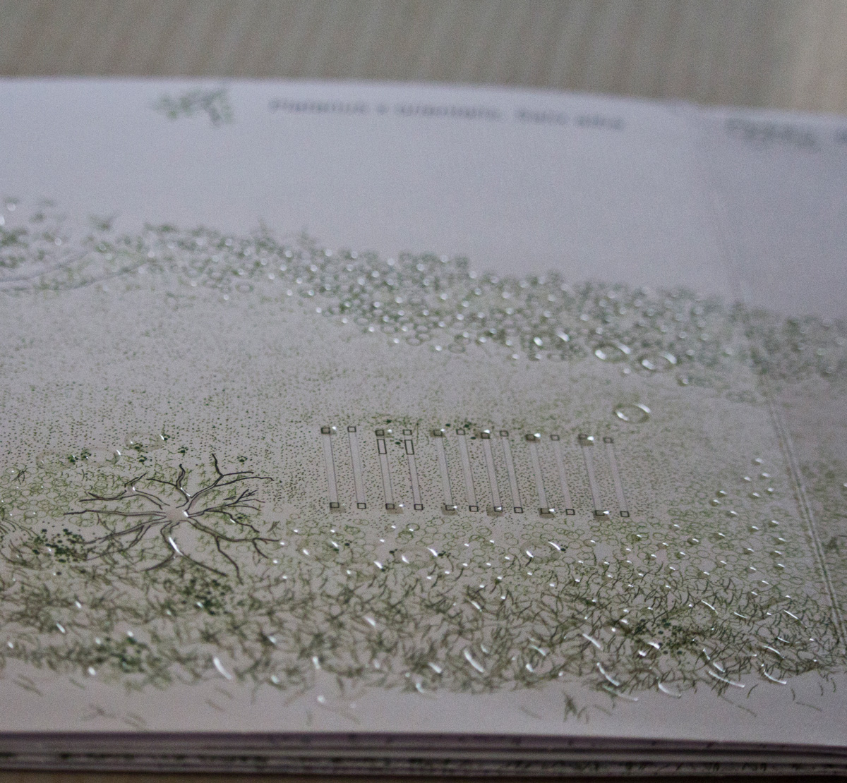 braille - nature's dots